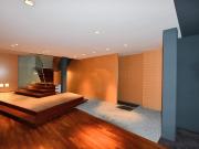 Große Geschäftsfläche mit Seminarraum in Nußdorf