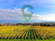 Große moderne Wohnung mit Charakter und herrlichem,...