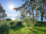 Große Ufer Zerstörung