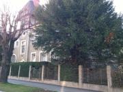 Große Wohnung in Bahnhofsnähe