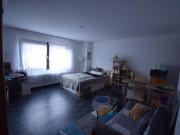 Großes 1 Zi. Apartment im östlichen Ringgebiet