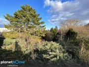 Großes, gut teilbares Baugrundstück mit Abbruchgebäude!