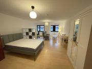 Großes komplett neu möbliertes 1 Zimmer Apartment inkl....