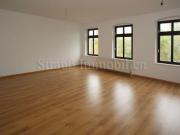 Großes Wohnzimmer. Laminat. Bad mit Fenster