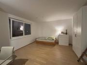 ab 01,02.2026 verfügbar!: Großzügige 1 Zimmer Wohnung