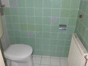 Großzügige 2 Zimmerwohnung in Döblings bester Lage