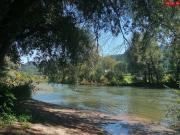 Großzügige 3 Raumwohnung mit Loggia am Murufer!