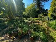 Großzügige 3 Zi. Wohnung in Volksdorf mit Terrasse und...