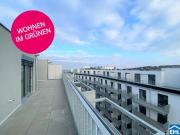 Großzügige 3 Zimmer Wohnung nahe dem Laaer Wald! Großzügige 3 Zimmer Wohnung nahe dem Laaer Wald!