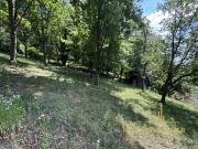Großzügige Gartenwohnung in Grinzinger Bestlage