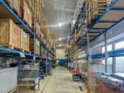 Großzügige Lager /Produktionshalle mit sechs...