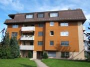 Grosszügige renovierte Wohnung mit Sitzplatz in grüner...