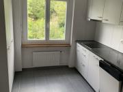 Grosszügige Stadtwohnung zu vermieten