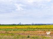 Großzügiges 1060m² Grundstück mit Altbestand | teilbar |...