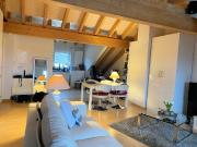 Großzügiges Appartement mit Loft Charakter