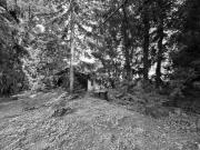 Großzügiges Grundstück mit Altbestand kleines Häuschen...