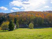 Großzügiges, naturnahes Grundstück in sonniger Ruhelage...