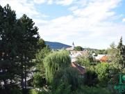 Großzügiges, sonniges Einfamilienhaus mit 80m² Dachterrasse