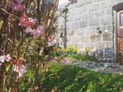 Großzügiges Wohnhaus nähe Zentrum, in bester Lage ideal...