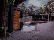 Ground + Basement Shop Is For SALE