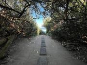 ground floor, 2 bedroom, 2 bathroom.