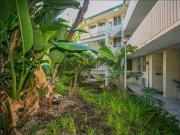 Ground floor apartment with spacious courtyard!