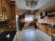 Ground Portion Ground Portion