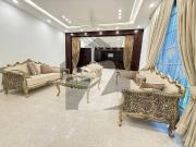 Ground Portion Available For Rent On Prime Location in F 8