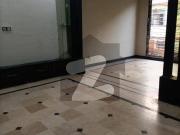 Ground Portion For Rent In I 10/1 Ideal Family Home