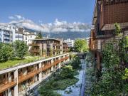 grün grüner salamander 0B16