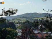 Grünblick auf der Hohen Warte! Grünblick auf der Hohen Warte!