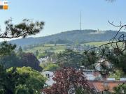 Grünblick auf der Hohen Warte!