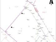 Grünblick in Pettenbach