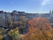 Grünblick mitten in der Josefstadt