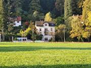 Gründerzeit 4 FamHs + Fabrik Loft im EG + 405qm WNF +...