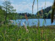 Grundstück 950 m2 Velden