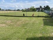 Grundstück als Wertanlage in 21.Bezirk.