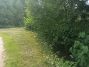 Grundstück am Bach!