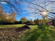 Grundstück in Blumau Neurißhof Tolle...