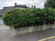 Grundstück mit Altbestand