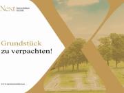 Grundstück mit B Widmung samt Gleisanschluss zu pachten!