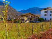 GRUNDSTÜCK MIT BAUGRUNDSTÜCK