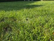 Grundstück mit Renditeperspektive