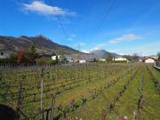 Grundstück soll gebaut werden