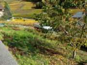 Grundstück zum Verkauf, Vuisse in der Nähe von Plan Conthey