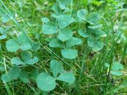 Grundstücke Berlin Deutschland 95322028 Grundstücke Berlin Deutschland 95322028