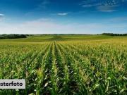 Grundstücke Dreieich Deutschland 98221959