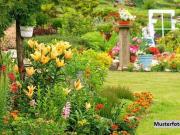 Grundstücke Essen Deutschland 99425271