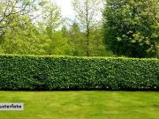 Grundstücke Gera Deutschland 96302701