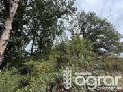 Grundstücke Klipphausen / Gauernitz Deutschland 98532645